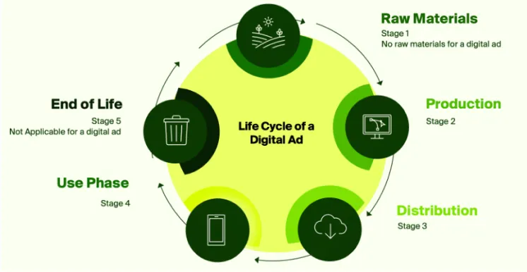 life cycle
